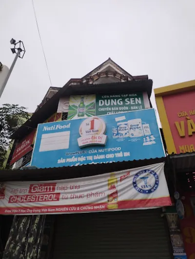 cửa hàng tạp hóa dung sen - cửa hàng tạp phẩm