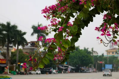 cửa hàng tạp hóa võ thị huệ - cửa hàng bách hóa
