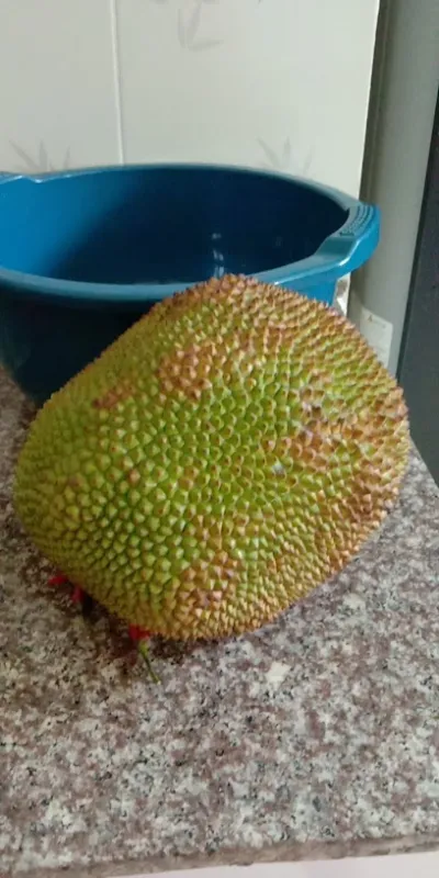 cửa hàng thời trang đầm khiêu vũ thu - cửa hàng phụ kiện thời trang