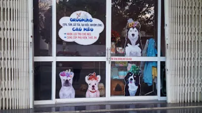 cửa hàng thú cưng angel pets - dịch vụ chăm sóc thú nuôi