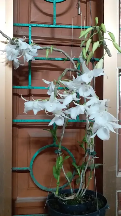 cửa hàng thức ăn chăn nuôi hùng tuyết - cửa hàng thức ăn gia súc