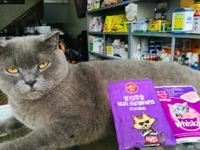 cửa hàng thuốc thú y hải an - bệnh viện thú y