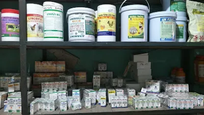 cửa hàng thuốc thú y tuynh thúy - hiệu thuốc thú y