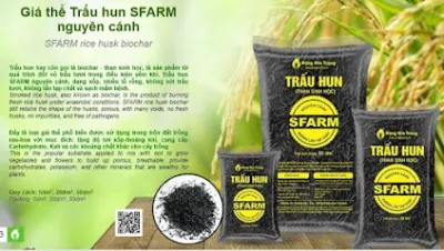 cửa hàng vật tư nông nghiệp thủy tiên - cửa hàng nông sản