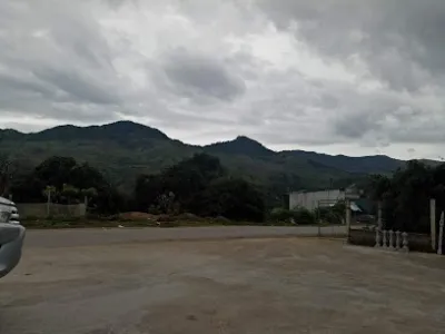 cửa hàng xăng dầu hoa xuân 2 - trạm xăng