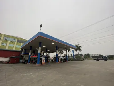 cửa hàng xăng dầu hoàn sơn - trạm xăng
