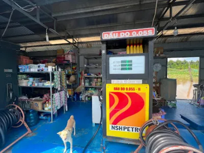 cửa hàng xăng dầu kim phượng hội xuân - trạm xăng