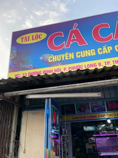 cửa hàng xe đạp - hoàng quân - cửa hàng xe đạp