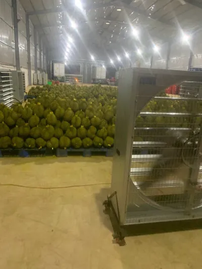 cửa hàng xe máy cũ hiền thạnh - cửa hàng xe máy