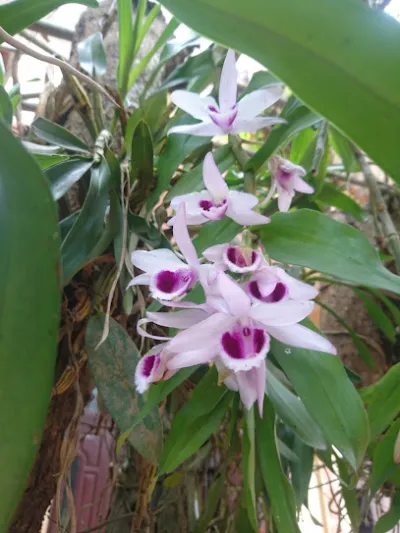 cưa nhôm đức bình - nhà cung cấp cửa