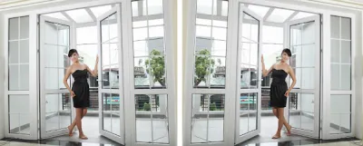 cửa nhôm, sắt- niên - trung tâm mua sắm