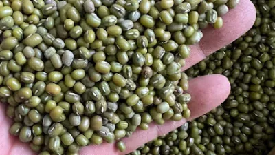 cung cấp nông sản - nhà bán buôn nông sản cung cấp nông sản - nhà bán buôn nông sản