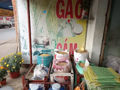 đại lý bách hằng gạo nước thức ăn gia súc - nhà bán buôn gạo