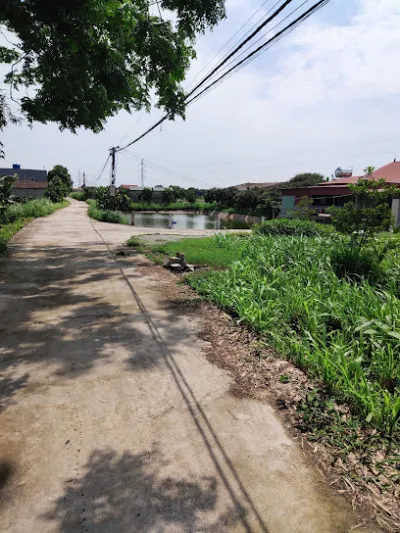 đại lý cám chỉnh nhắc - cửa hàng thức ăn gia súc