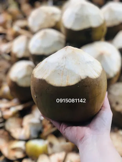 đại lý dừa xiêm - nhà bán buôn rau quả