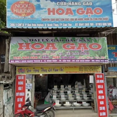 đại lý gạo đặc sản hoa gạo - cửa hàng bán thực phẩm sạch