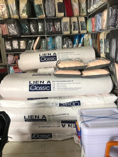 đại lý nệm liên á thùy trang - cửa hàng bán dụng cụ sửa nhà