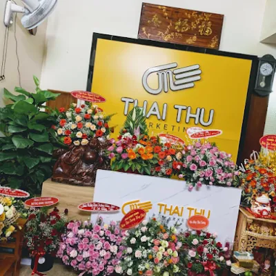 đại lý nhân sâm canada tại huế - cửa hàng