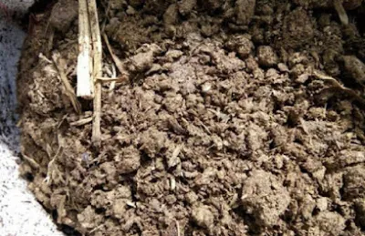 đại lý phân bò dăklăk - nhà cung cấp phân bón