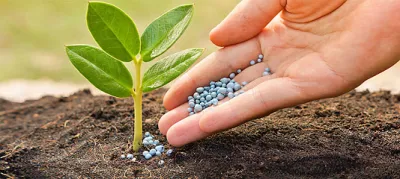 đại lý phân bón 2 châu - nhà cung cấp phân bón