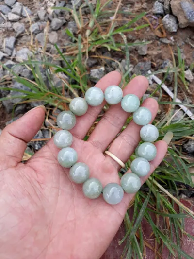 đại lý phân bón địa long - nhà cung cấp nông cụ