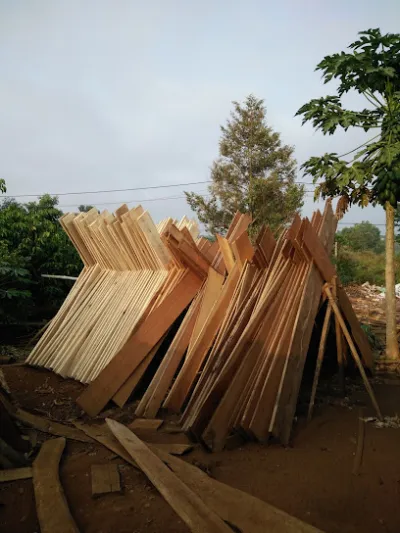 đại lý phân bón liêm thái - nhà cung cấp phân bón