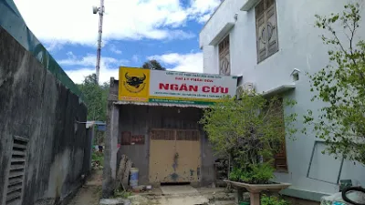 đại lý phân bón ngân cừu - nhà cung cấp nông cụ