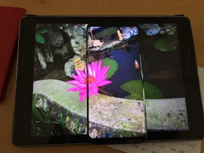 đại lý sơn mykolor 33 phố tứ liên tây hồ hà nội - cửa hàng sơn đại lý sơn mykolor 33 phố tứ liên tây hồ hà nội - cửa hàng sơn