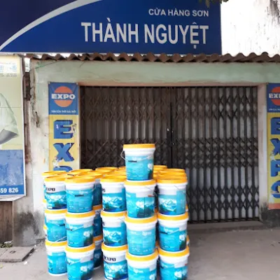 đại lý sơn nguyệt thành - cửa hàng sơn