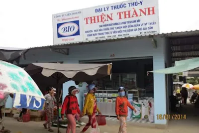 đại lý thức ăn chăn nuôi thiện thành - cửa hàng