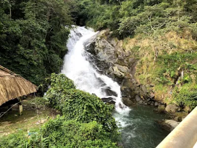 đại lý thức ăn gia súc cương dung - nhà cung cấp nông cụ đại lý thức ăn gia súc cương dung - nhà cung cấp nông cụ