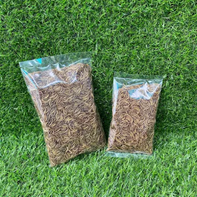 đất thú cưng pet shop - dịch vụ chăm sóc thú nuôi