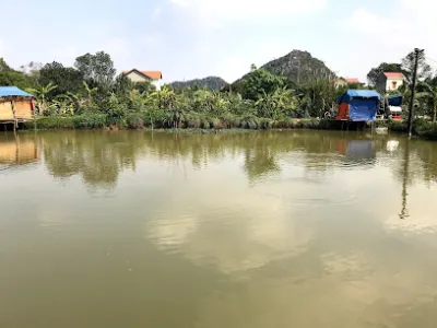 dịch vụ câu cá rô