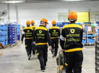 dịch vụ diệt mối tận gốc tại ba đình - diệt mối quốc phong - văn phòng công ty