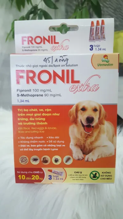 dịch vụ thú cưng an nhơn - dịch vụ chăm sóc thú nuôi