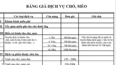 dịch vụ thú cưng kon tum bsty huỳnh thị hòa - dịch vụ cấp cứu thú y dịch vụ thú cưng kon tum bsty huỳnh thị hòa - dịch vụ cấp cứu thú y