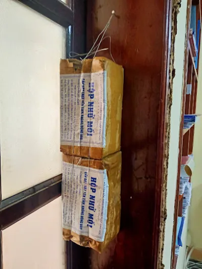 diệt mối hưng yên - cửa hàng diệt mối hưng yên - cửa hàng