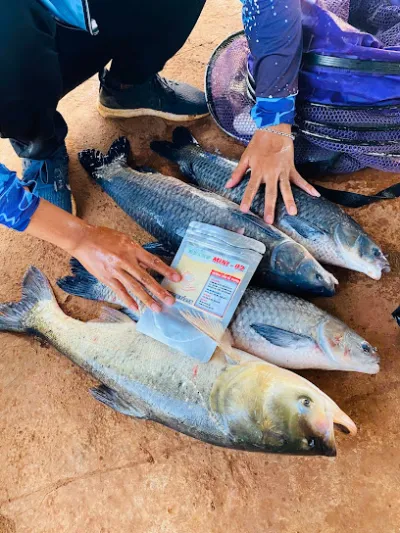 đồ câu taro - cửa hàng bán đồ câu cá