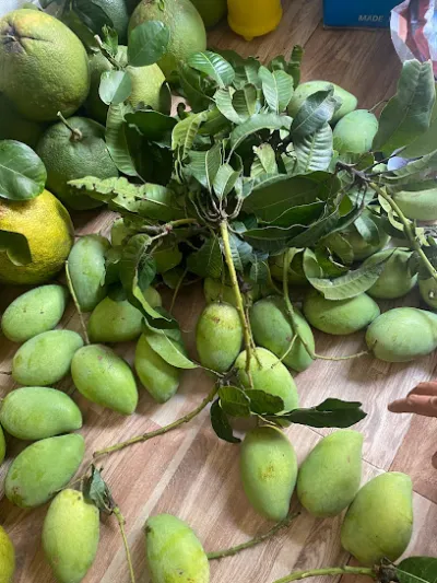 dừa sáp trái cây tươi - cửa hàng bán buôn trái cây