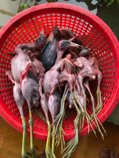 dụng cụ câu cá như ý - cửa hàng bán đồ câu cá