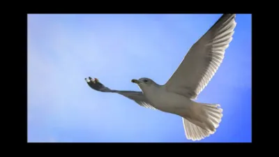 dvtm dt hải âu - dịch vụ sửa chữa tivi