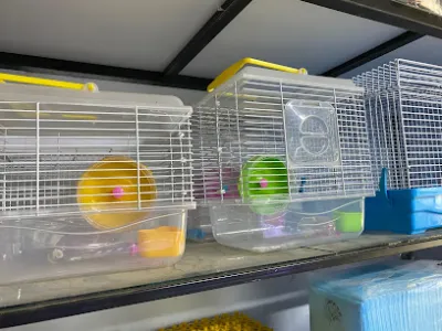 f5 toàn cá cảnh - cửa hàng vật nuôi