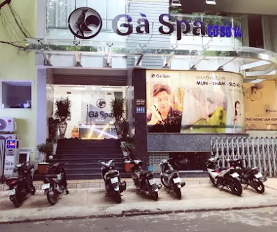 gà spa buôn ma thuột