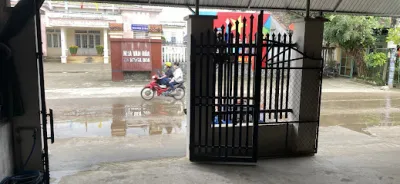 gạo, cốm phương loan màu nhiên - nhà bán buôn gạo