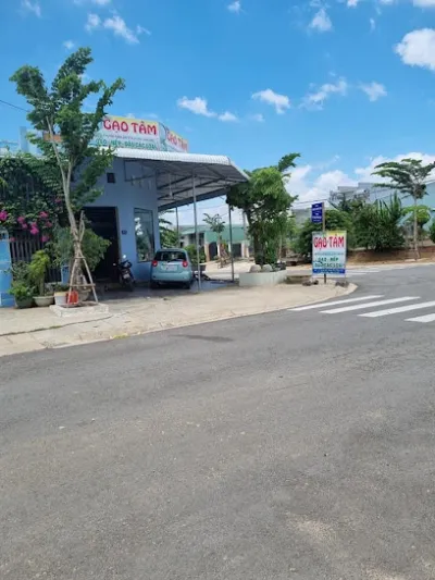 gạo tâm, đak pơ, gia lai - cửa hàng gạo