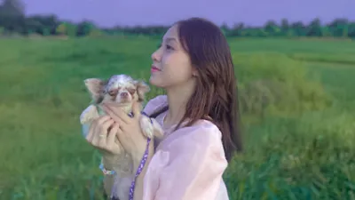 giang pugpy - thú cưng bến tre - cơ sở chó giống