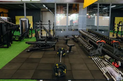 gym le giang profit - câu lạc bộ thể dục