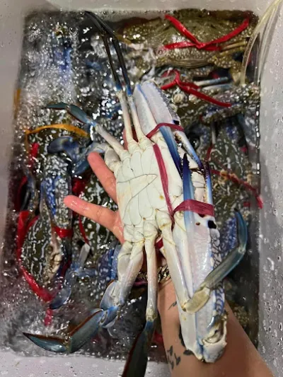 hải sản bình định - chợ hải sản