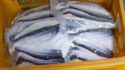 hải sản kỳ hà - nhà bán buôn hải sản