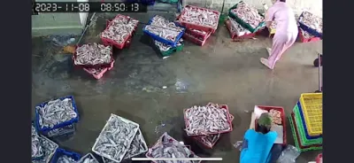 hải sản quyên nhung quỳnh phương nghệ an - chợ hải sản